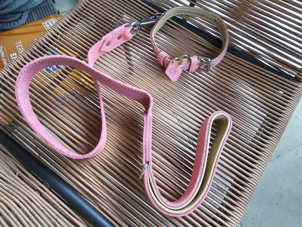 Panoplie collier et laisse rose pour Yasuna