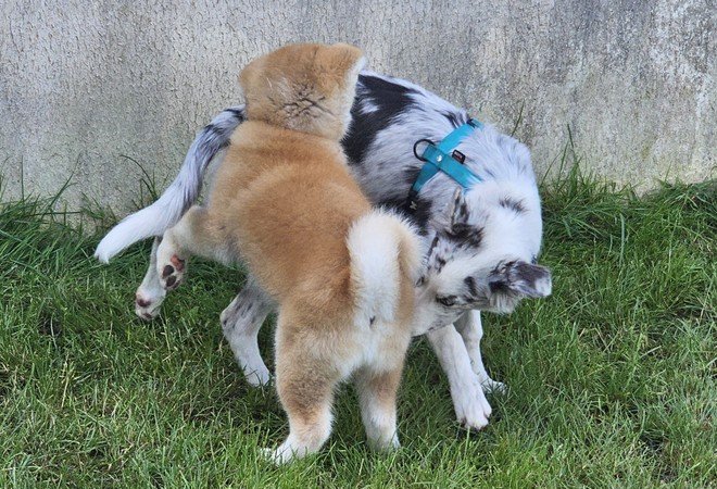 Yasuna et son copain