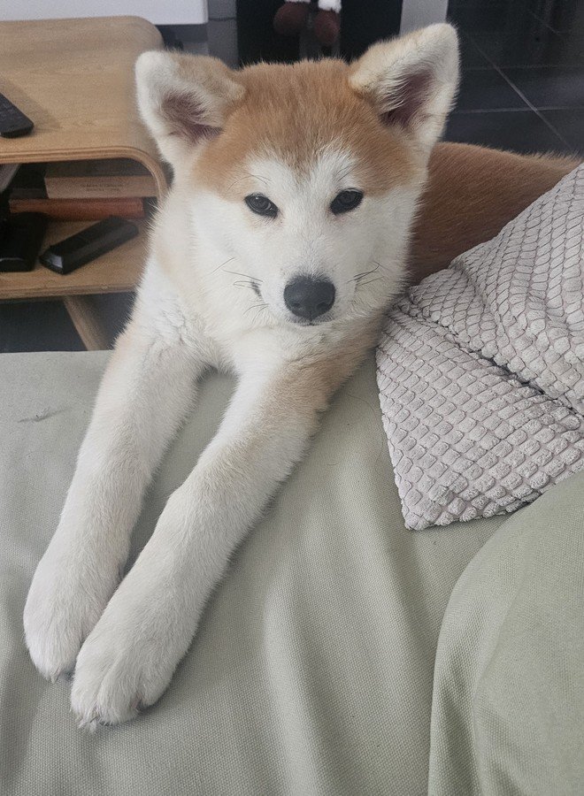 Yasuna dit "A la prochaine !"