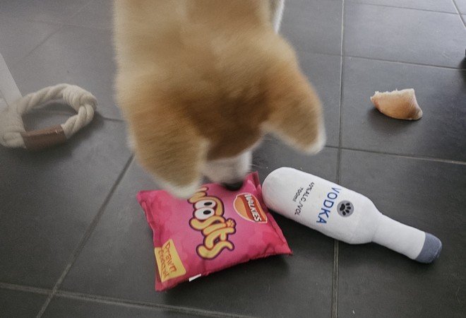 Yasuna et ses jouets festifs