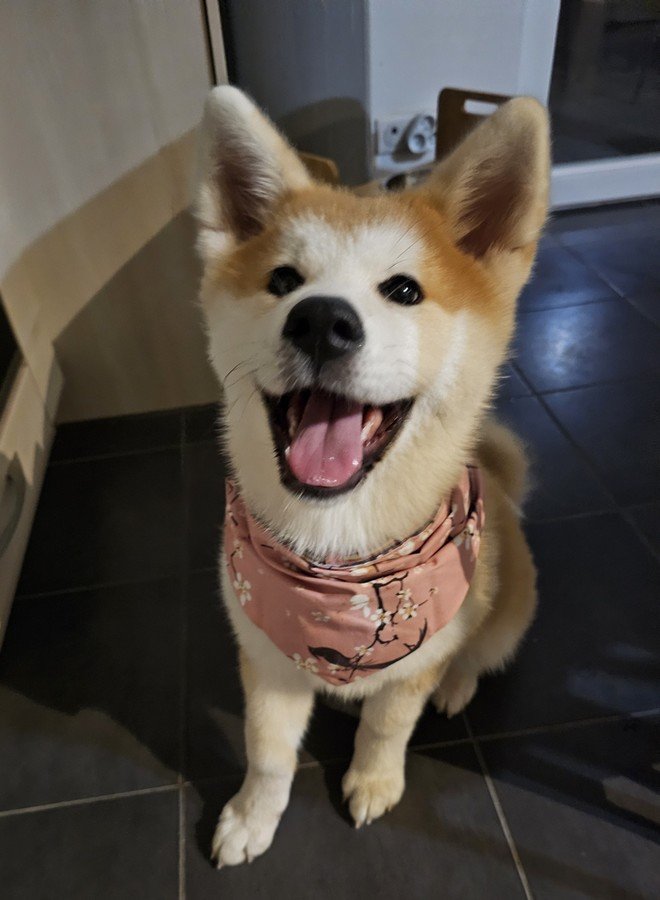 Le foulard de Yasuna