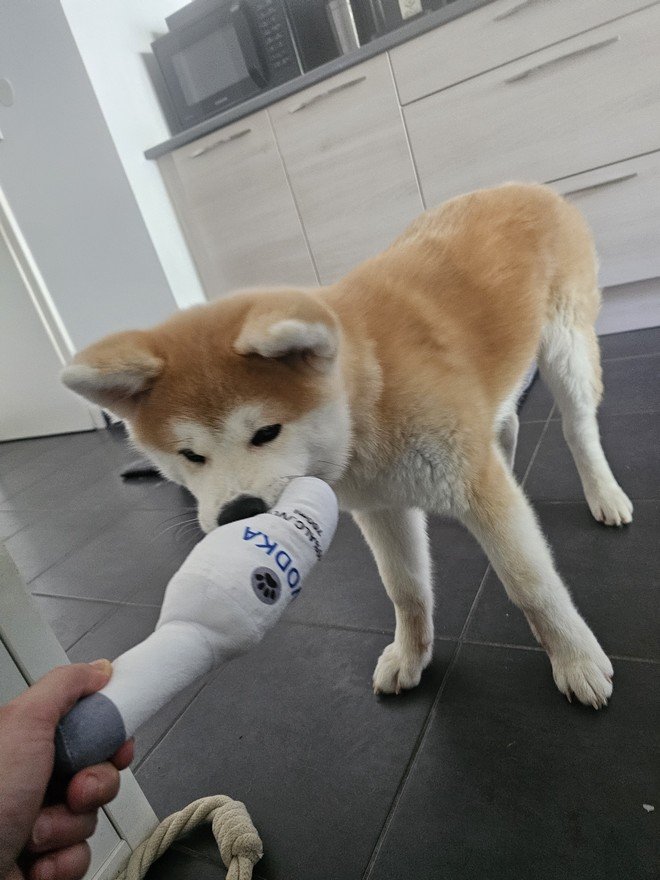 Yasuna et sa bouteille de vodka