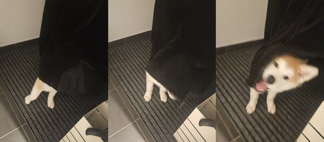 Yasuna se cache derrière le rideau