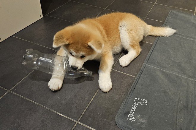 Yasuna 02-07-2024 découvre les bouteilles en plastique
