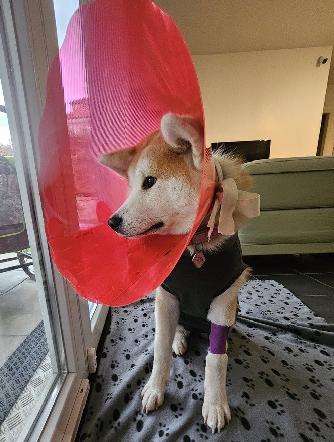Yasuna en mode joli abat-jour