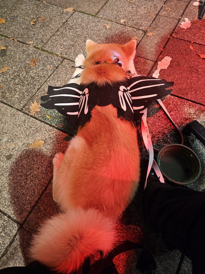 Yasuna à la terrasse du pub (photo 1)