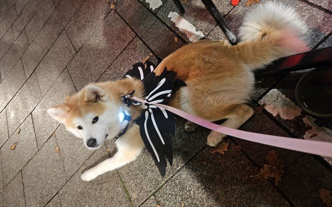 Yasuna à la terrasse du pub (photo 2)
