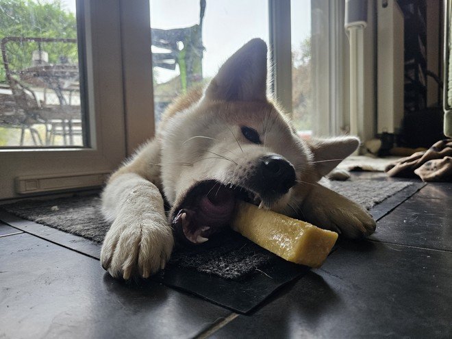 Yasuna et son fromage de Yak