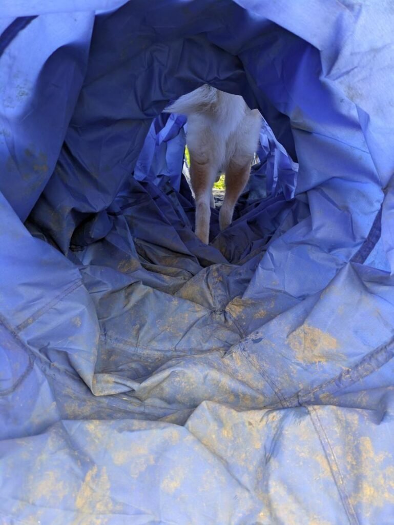 Première traversée de tunnel