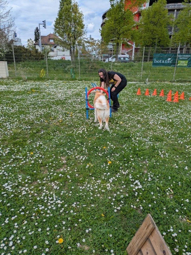Découverte du cerceau pour Yasuna