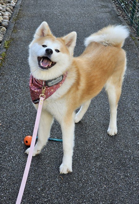 2025-03-05_Yasuna-11-mois