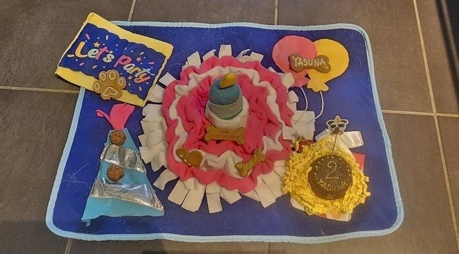 Tapis de fouille spécial anniversaire pour les deux ans de Yasuna